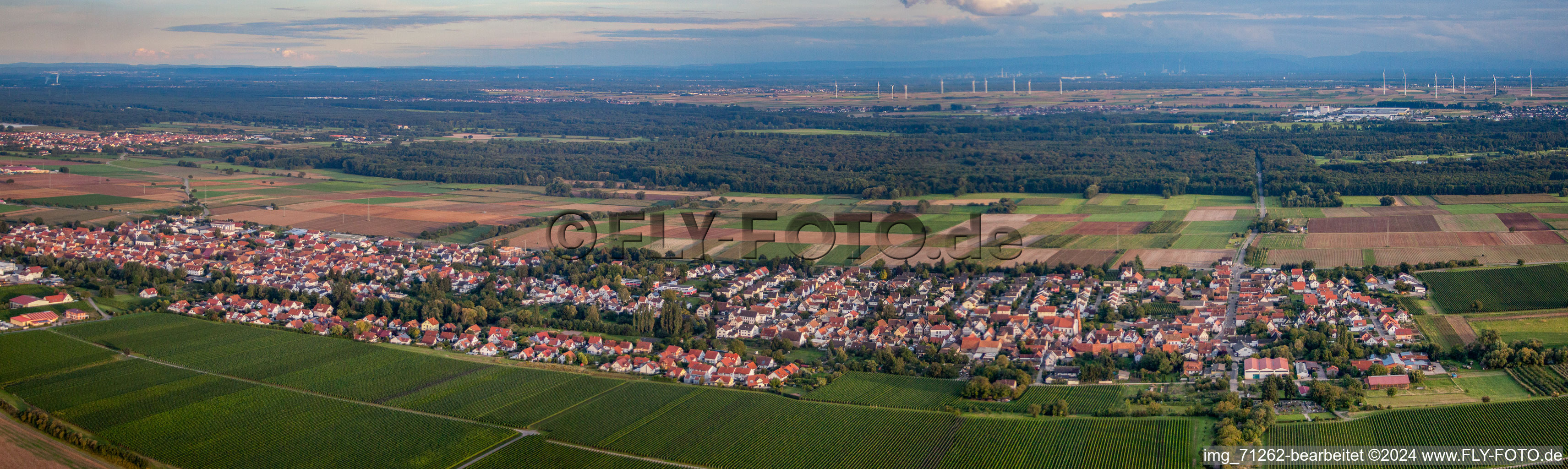 Photographie aérienne de Panorama à le quartier Niederhochstadt in Hochstadt dans le département Rhénanie-Palatinat, Allemagne