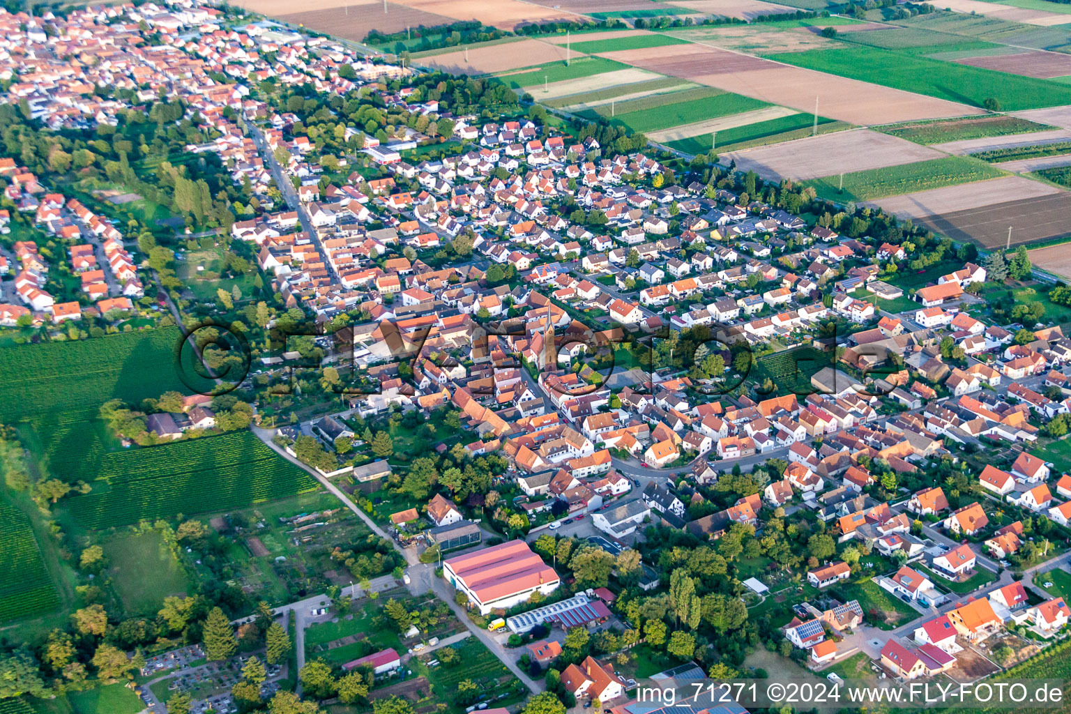 Vue oblique de Quartier Niederhochstadt in Hochstadt dans le département Rhénanie-Palatinat, Allemagne