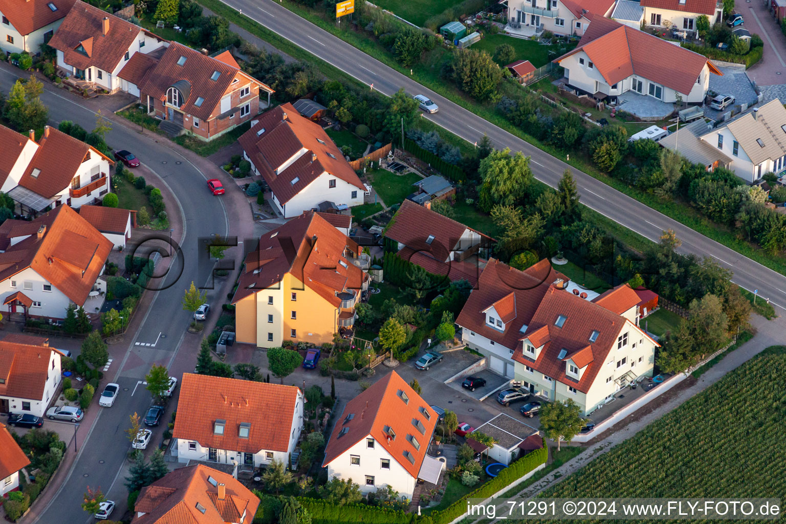 Vue aérienne de Bague de Poméranie à Offenbach an der Queich dans le département Rhénanie-Palatinat, Allemagne