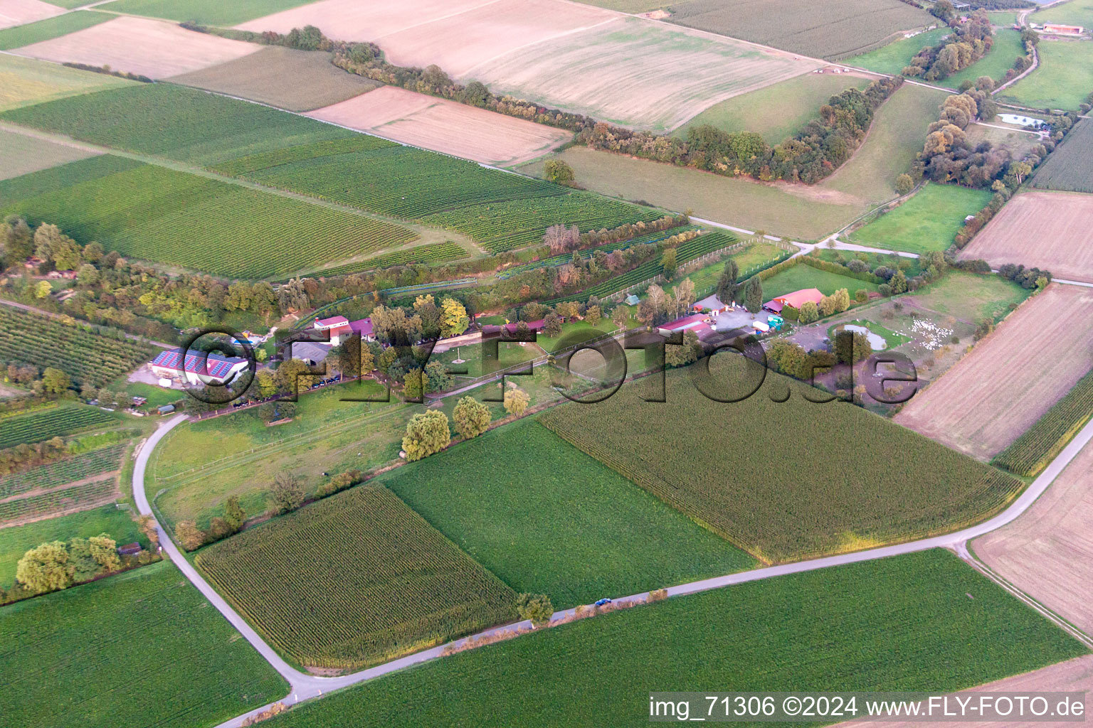 Vue aérienne de Ranch Wagner à Herxheim bei Landau dans le département Rhénanie-Palatinat, Allemagne