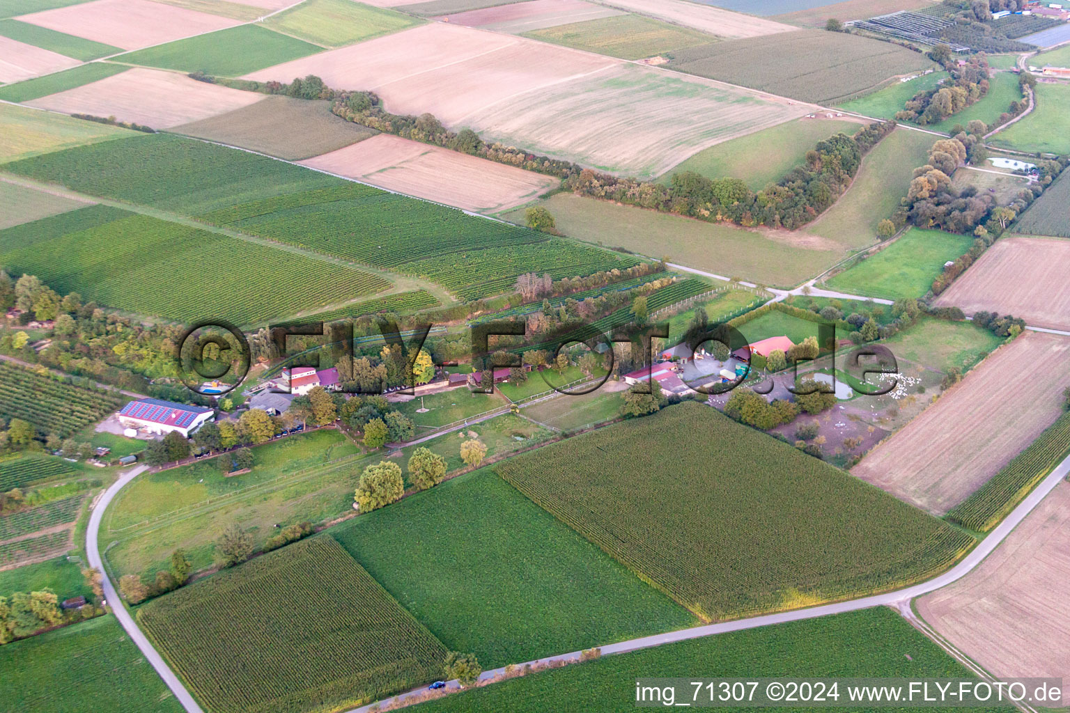 Vue aérienne de Ranch Wagner à Herxheim bei Landau dans le département Rhénanie-Palatinat, Allemagne