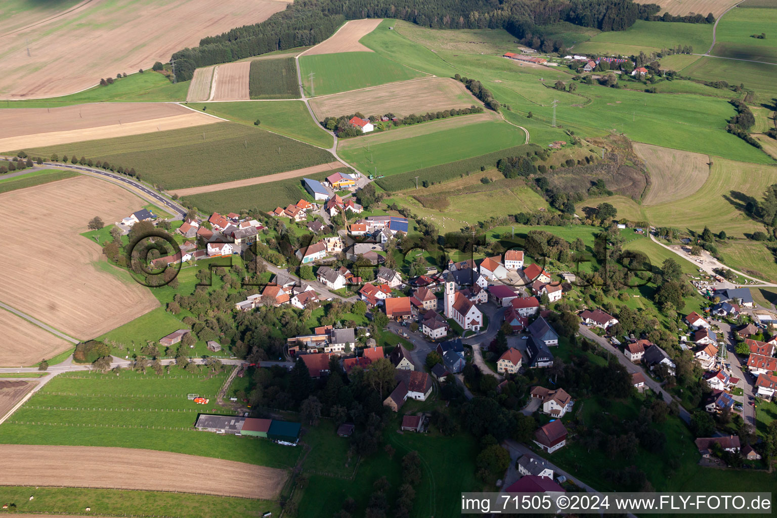 Quartier Gallmannsweil in Mühlingen dans le département Bade-Wurtemberg, Allemagne d'en haut