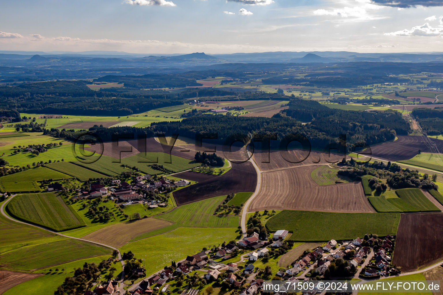 Vue d'oiseau de Mühlingen dans le département Bade-Wurtemberg, Allemagne