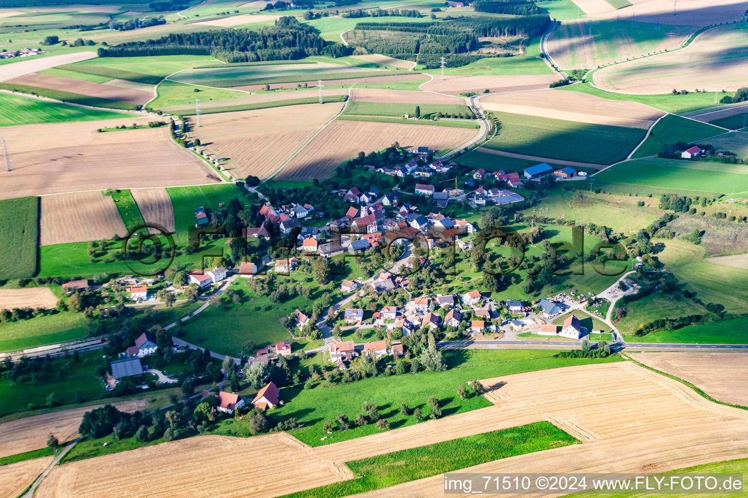 Quartier Gallmannsweil in Mühlingen dans le département Bade-Wurtemberg, Allemagne hors des airs