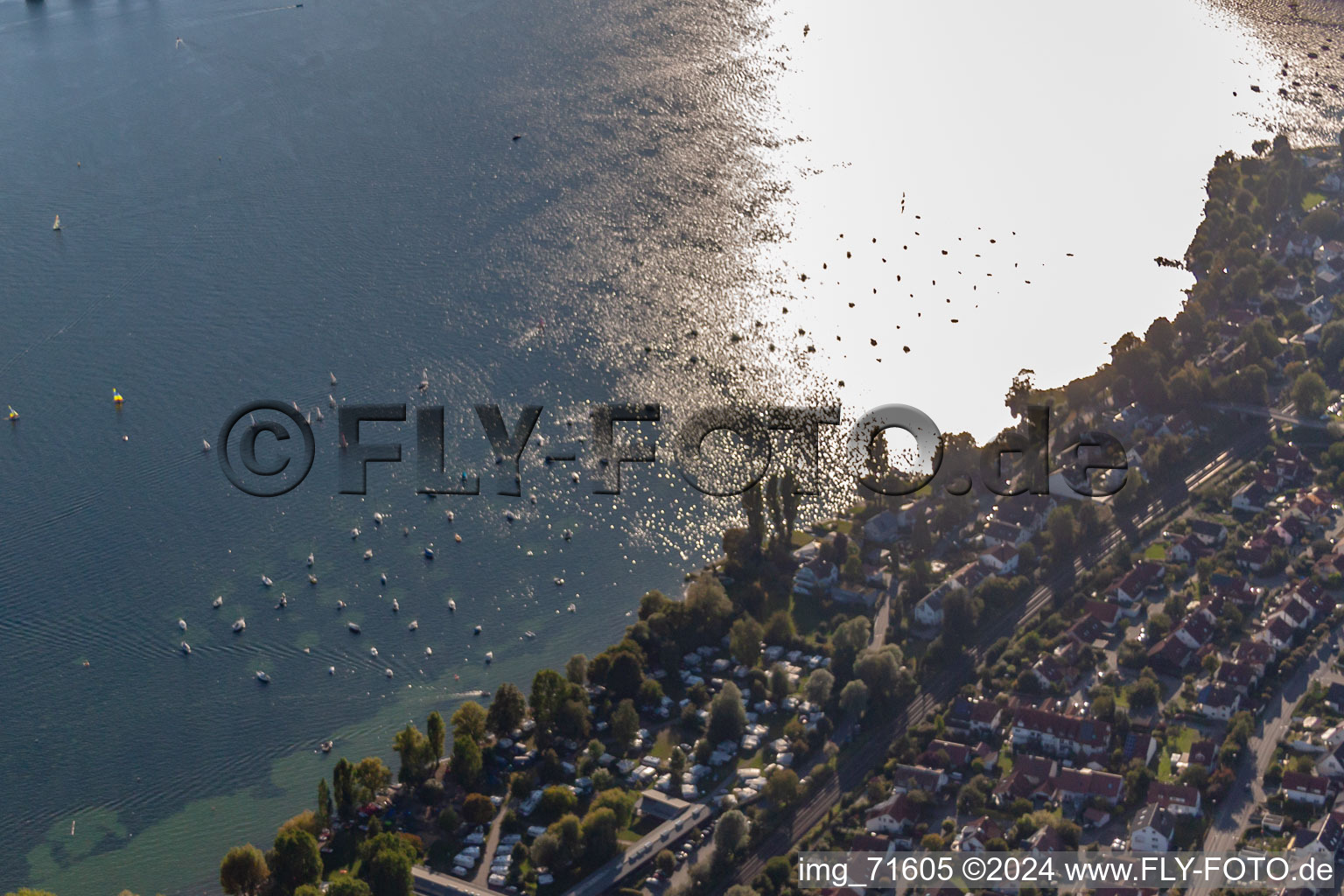 Vue aérienne de Camping au bord du lac à Allensbach dans le département Bade-Wurtemberg, Allemagne