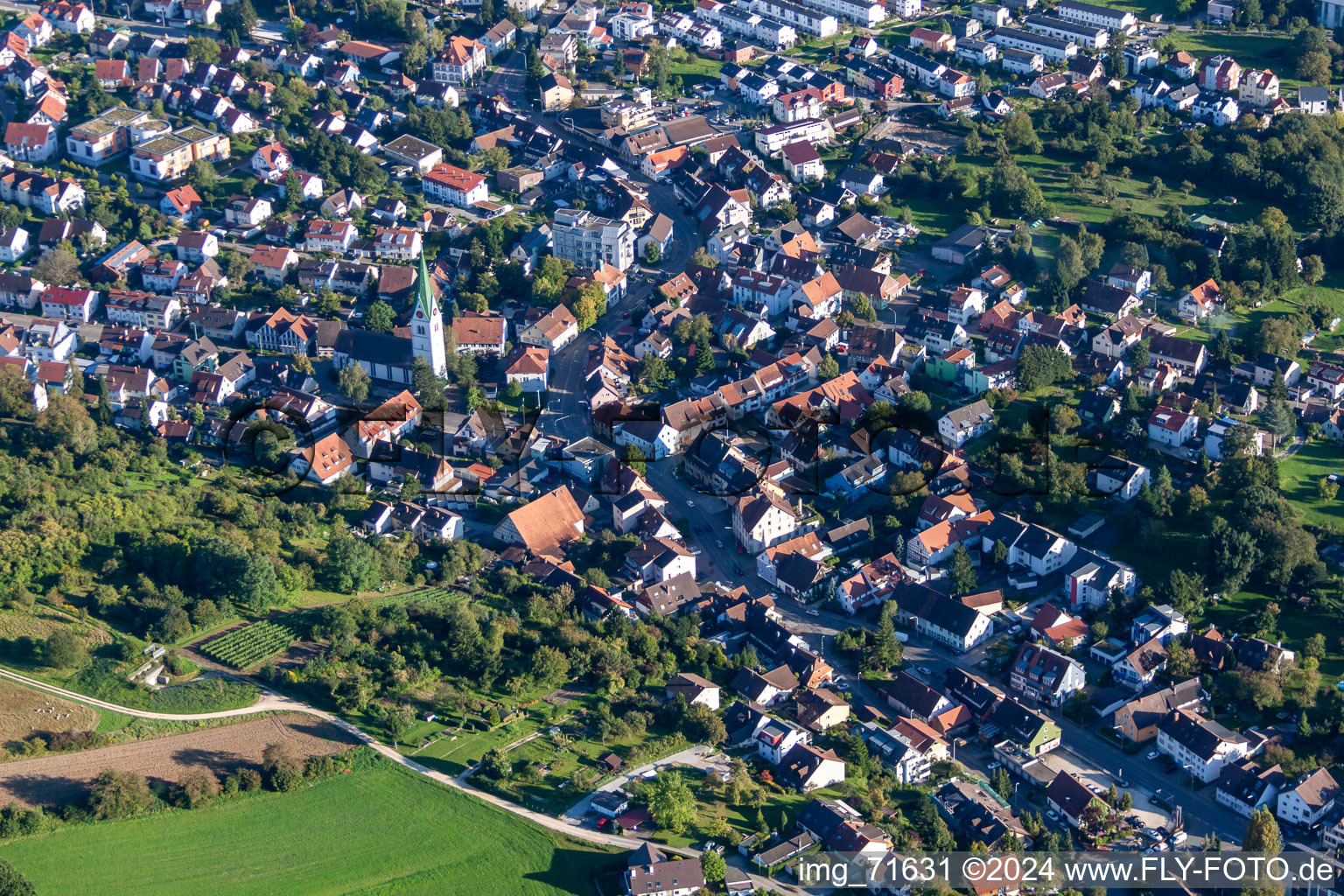 Vue oblique de Quartier Wollmatingen in Konstanz dans le département Bade-Wurtemberg, Allemagne
