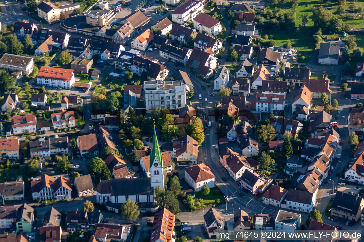 Vue aérienne de Saint-Martin à le quartier Wollmatingen in Konstanz dans le département Bade-Wurtemberg, Allemagne