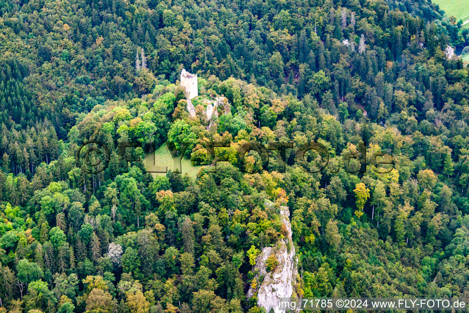 Vue aérienne de Ruines du château de Kallenberg à Buchheim dans le département Bade-Wurtemberg, Allemagne