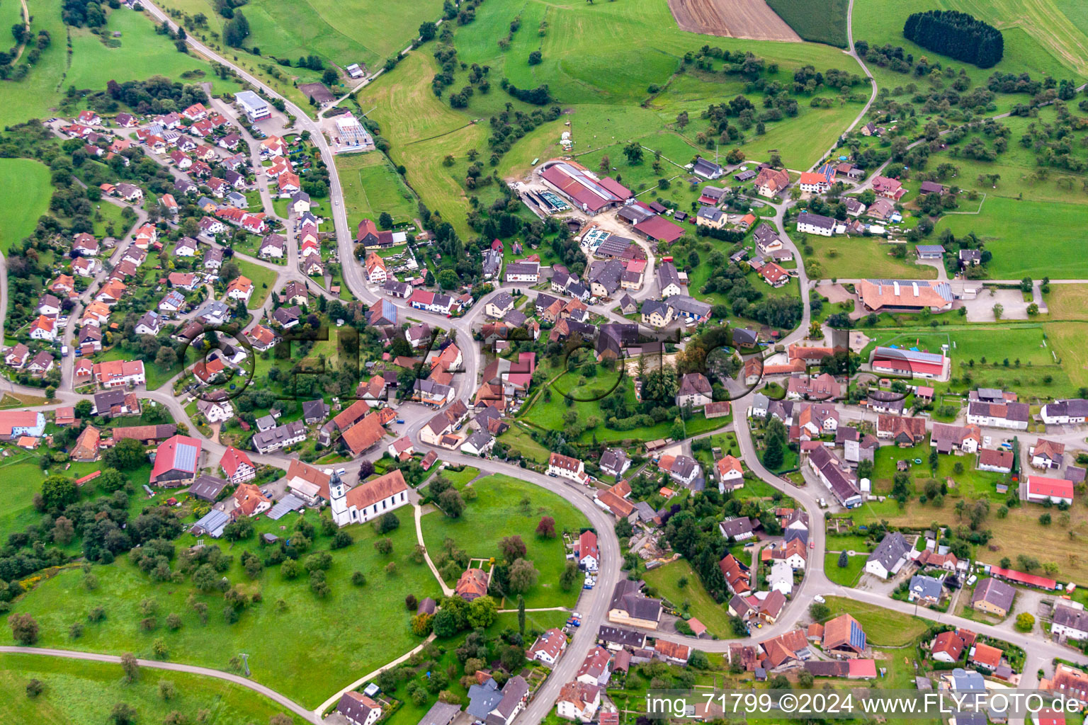 Vue aérienne de Vue sur le village à Mühlingen dans le département Bade-Wurtemberg, Allemagne