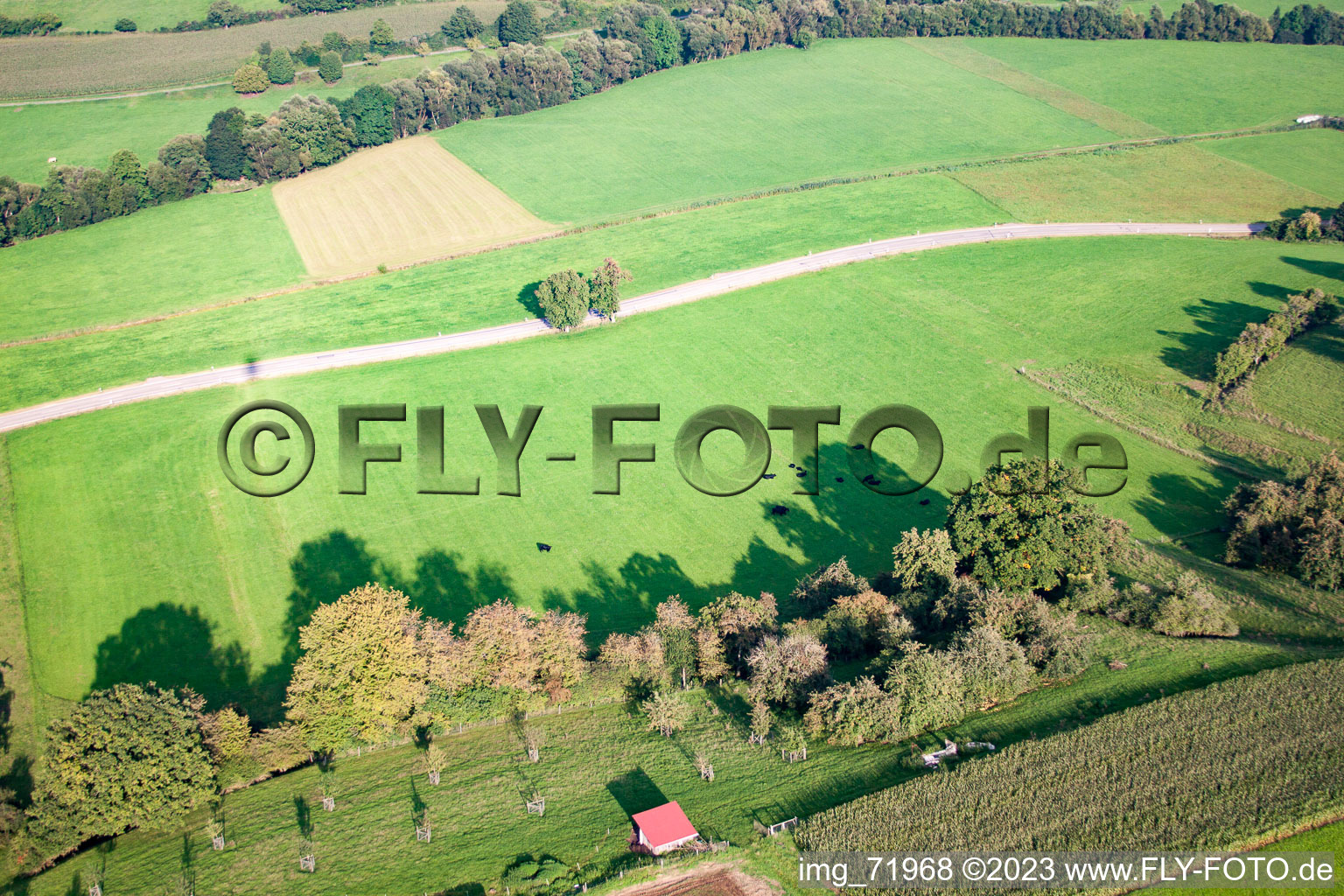Photographie aérienne de Kottspiel dans le département Bade-Wurtemberg, Allemagne