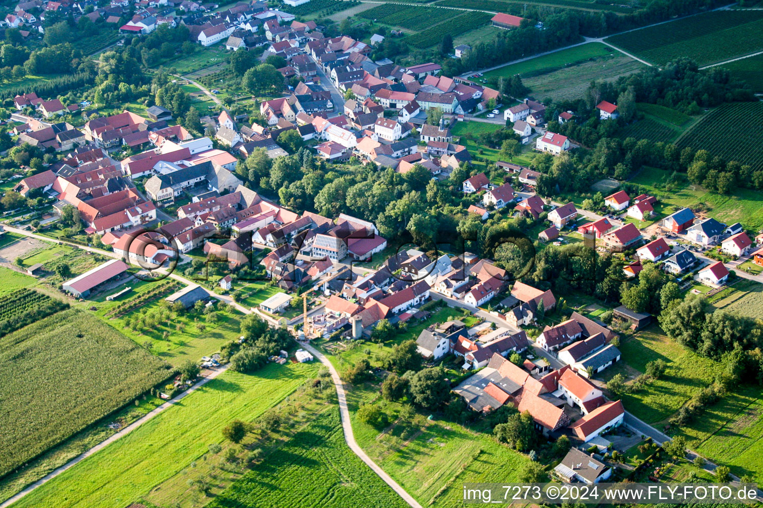 Vue oblique de Champs agricoles et surfaces utilisables à Dierbach dans le département Rhénanie-Palatinat, Allemagne