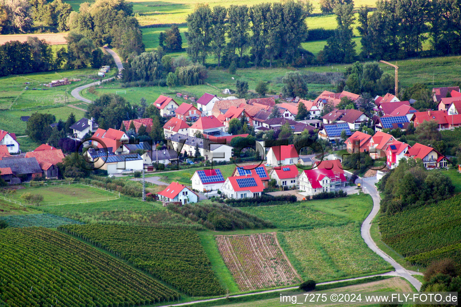 Image drone de Hergersweiler dans le département Rhénanie-Palatinat, Allemagne