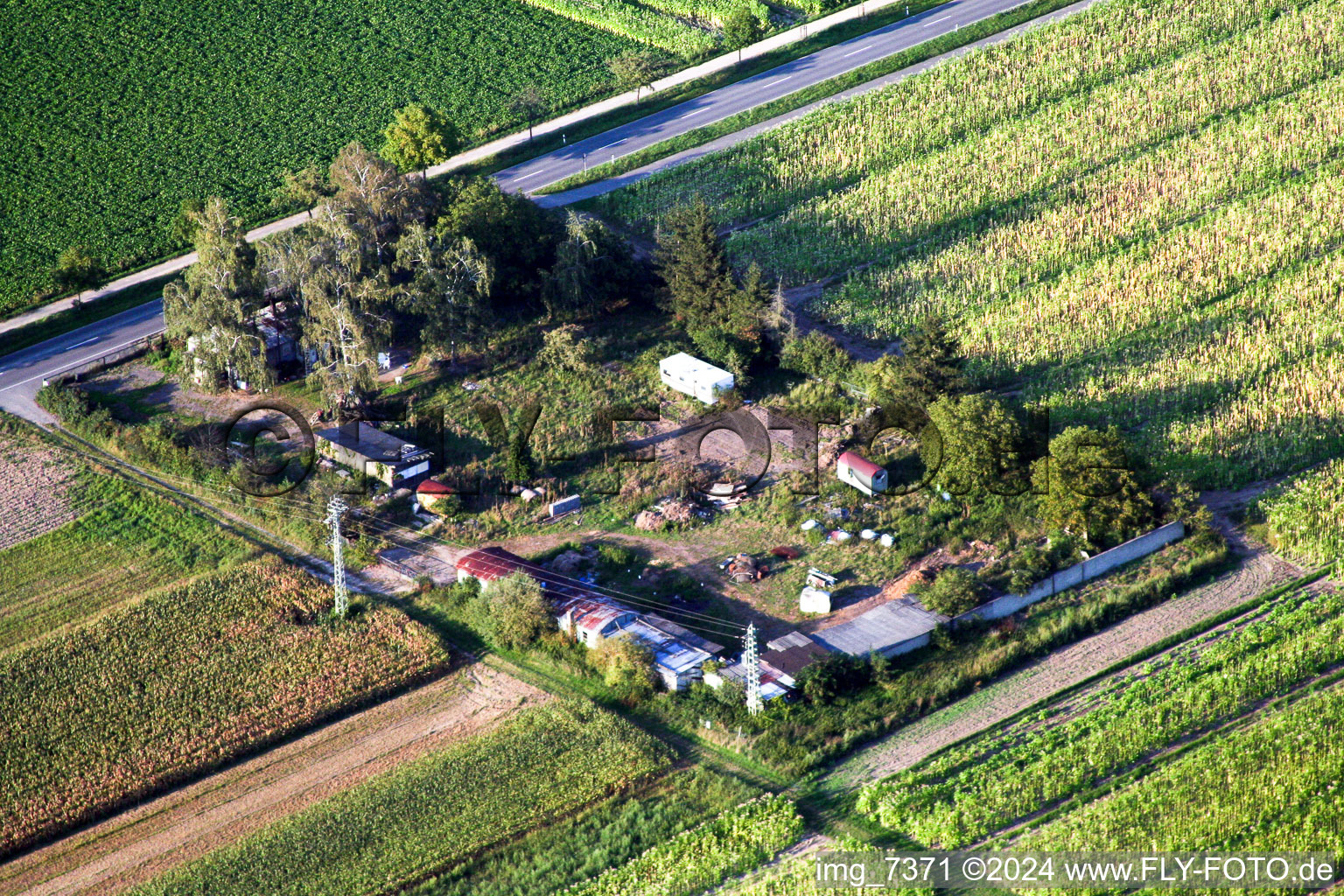 Minfeld dans le département Rhénanie-Palatinat, Allemagne d'en haut