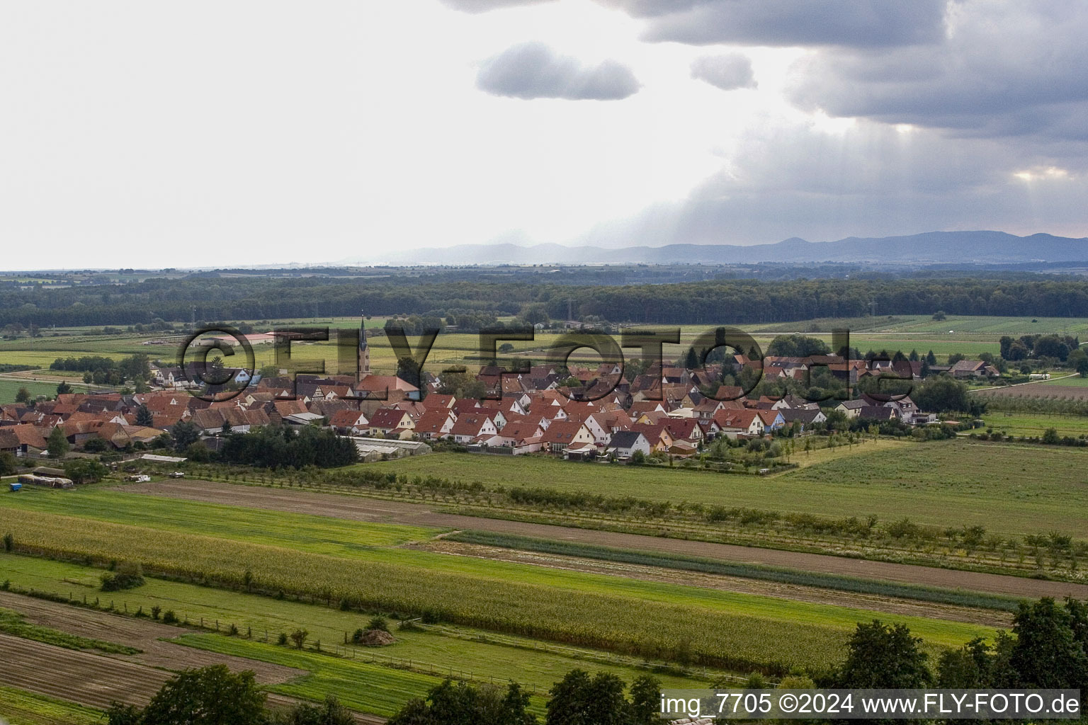 Vue d'oiseau de Erlenbach bei Kandel dans le département Rhénanie-Palatinat, Allemagne