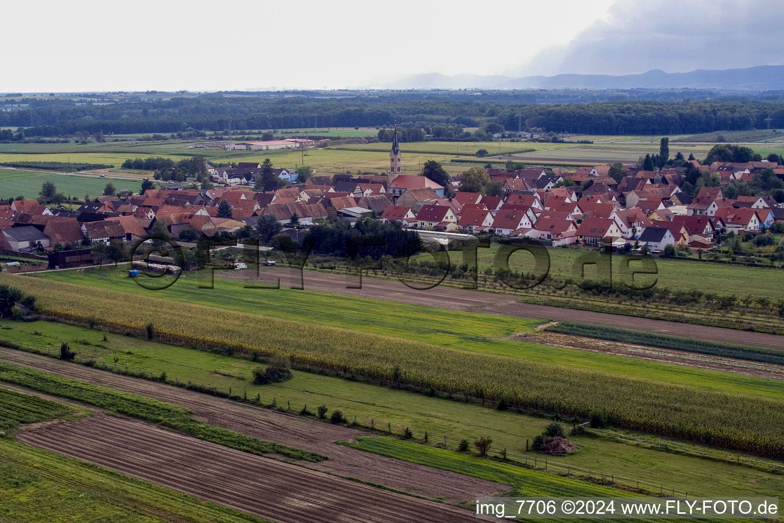 Erlenbach bei Kandel dans le département Rhénanie-Palatinat, Allemagne vue du ciel