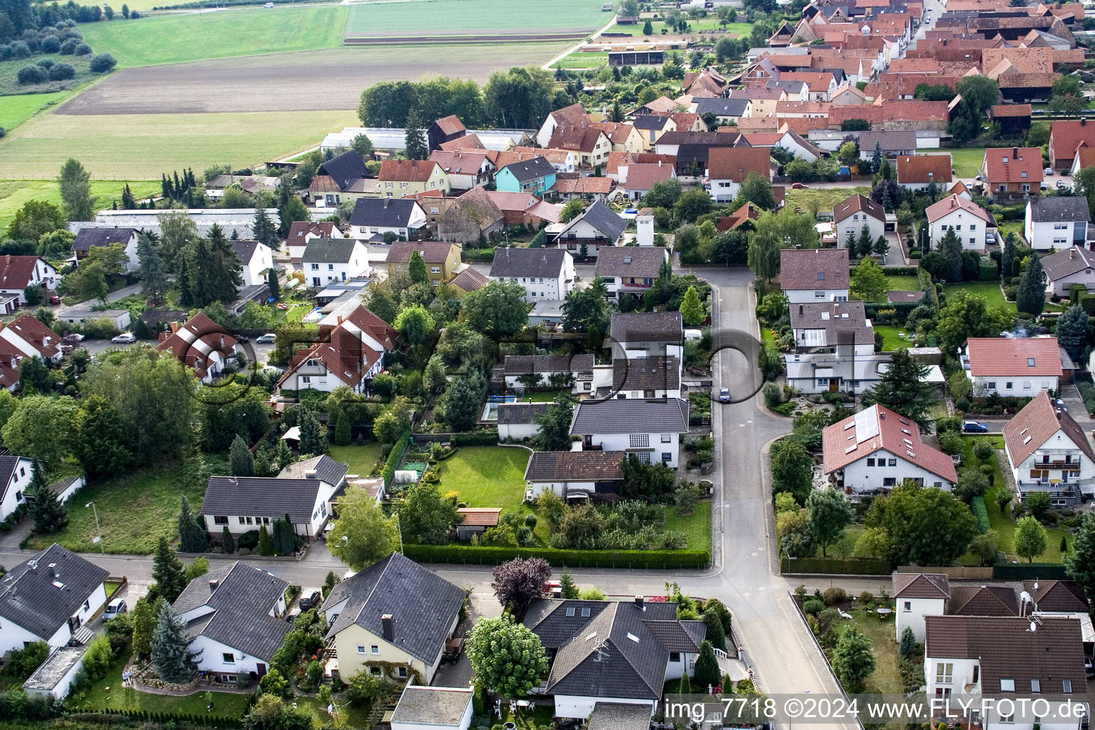 Erlenbach bei Kandel dans le département Rhénanie-Palatinat, Allemagne du point de vue du drone