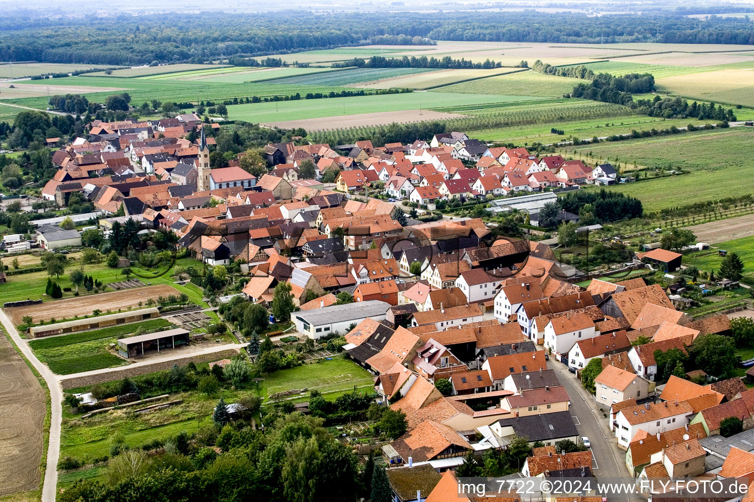 Vue aérienne de Erlenbach bei Kandel dans le département Rhénanie-Palatinat, Allemagne