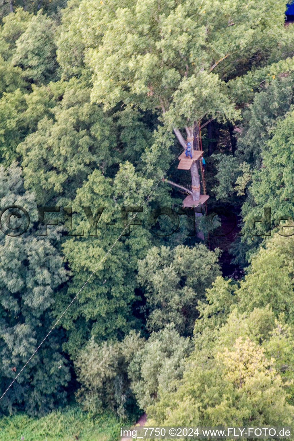 Vue oblique de Tyrolienne géante, camp Fun-Forest à Kandel dans le département Rhénanie-Palatinat, Allemagne