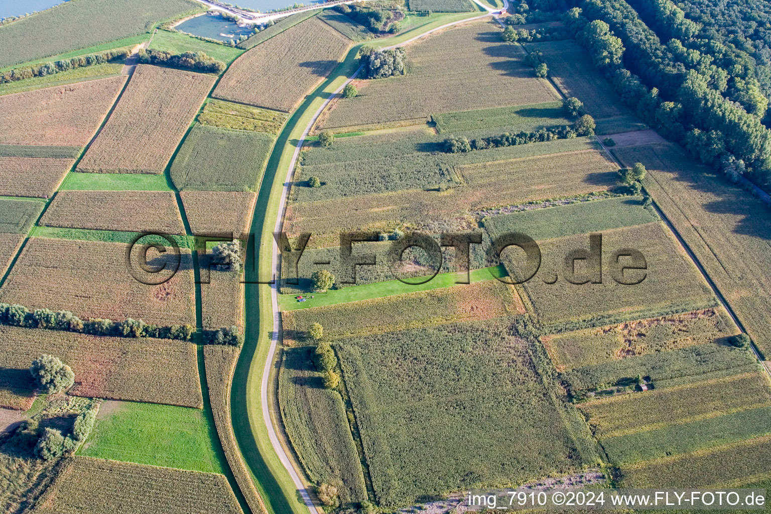 Vue aérienne de Aérodrome modèle à Hagenbach dans le département Rhénanie-Palatinat, Allemagne