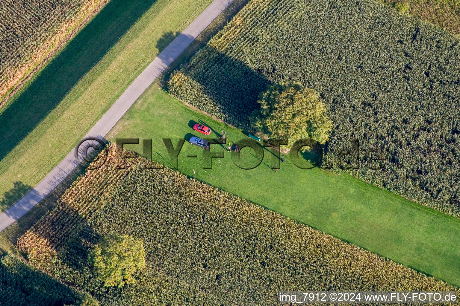 Photographie aérienne de Aérodrome modèle à Hagenbach dans le département Rhénanie-Palatinat, Allemagne