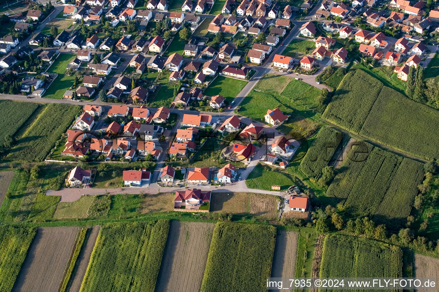 Quartier Neuburg in Neuburg am Rhein dans le département Rhénanie-Palatinat, Allemagne du point de vue du drone