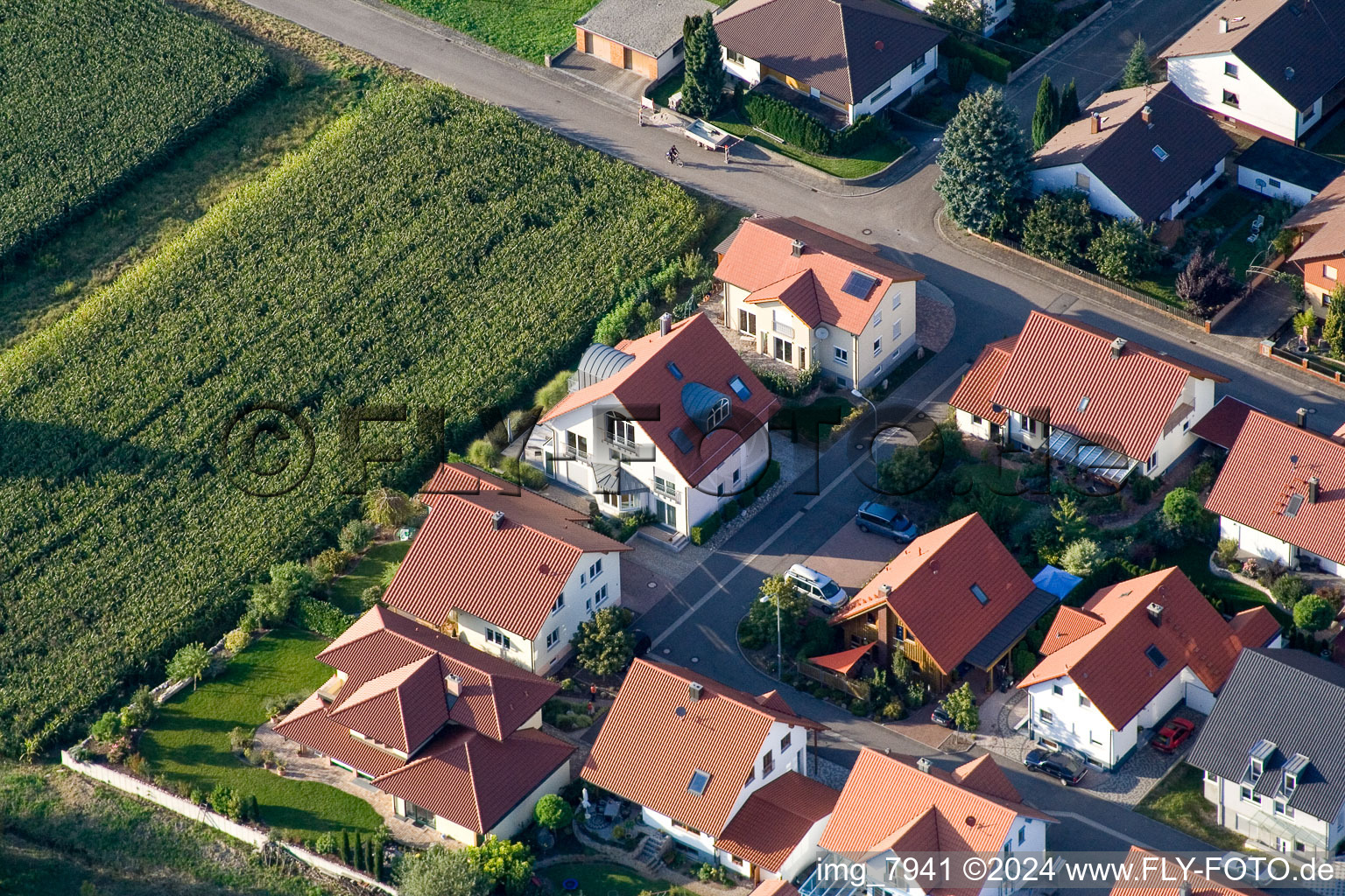 Quartier Neuburg in Neuburg am Rhein dans le département Rhénanie-Palatinat, Allemagne d'en haut