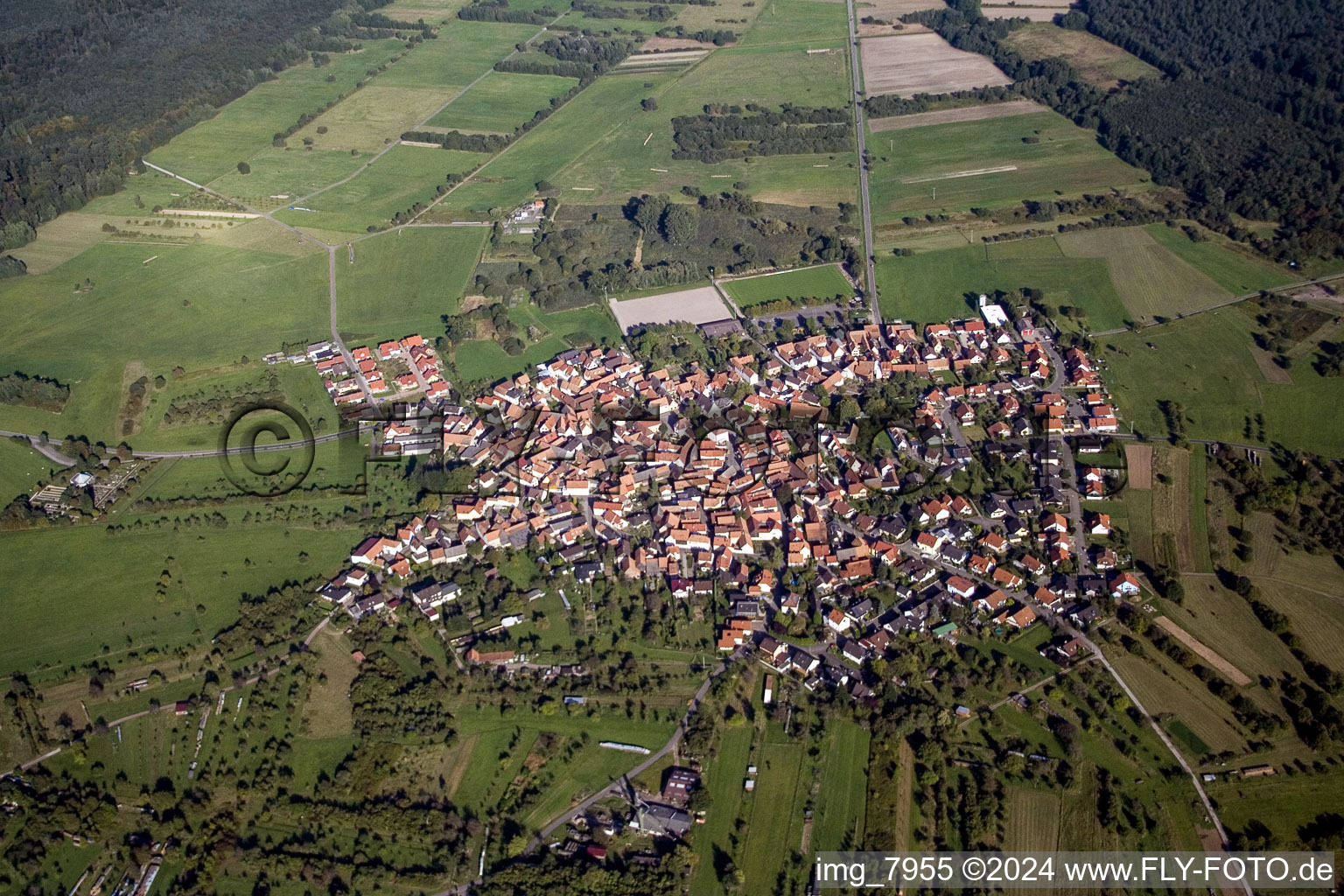 Photographie aérienne de Quartier Büchelberg in Wörth am Rhein dans le département Rhénanie-Palatinat, Allemagne