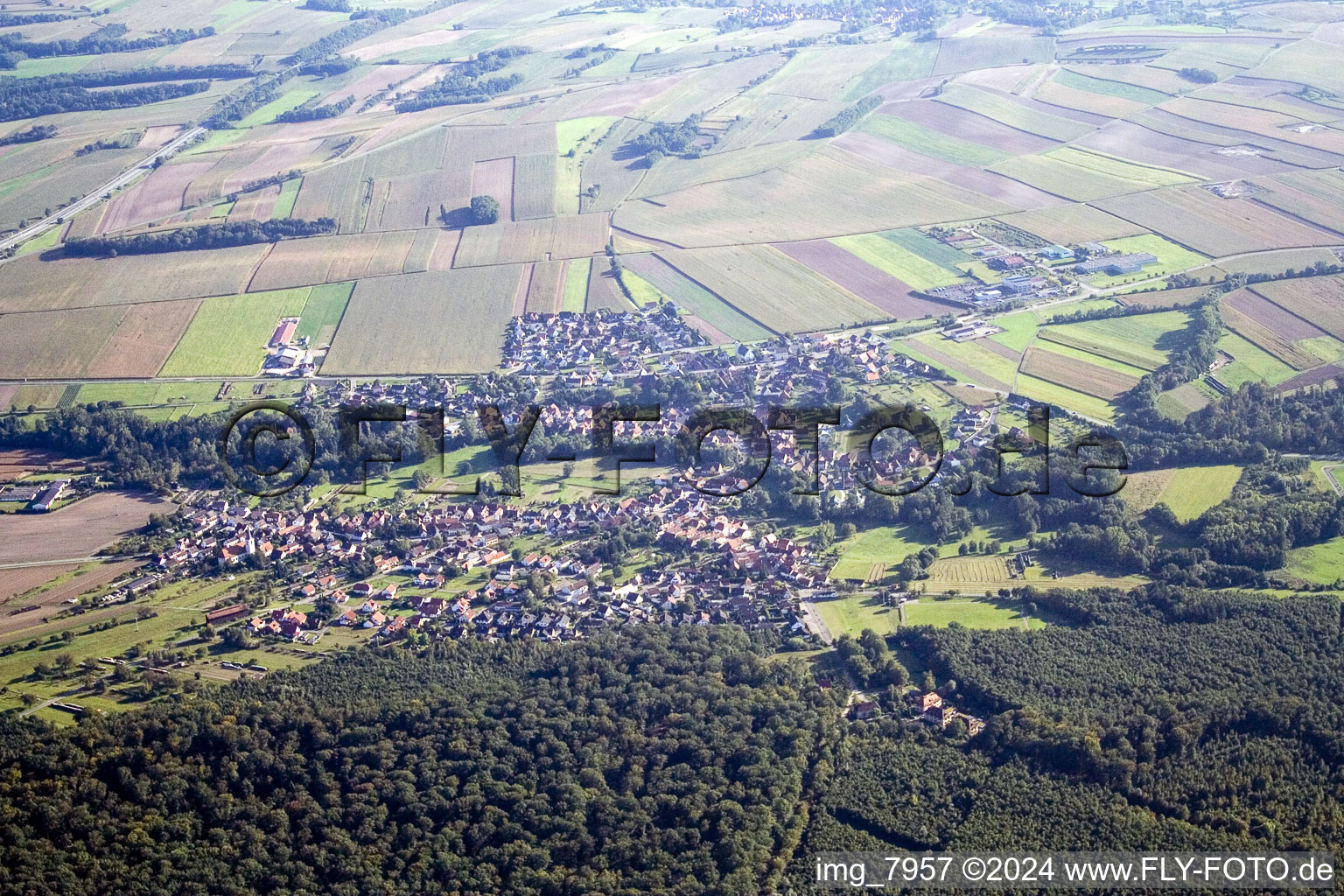 Vue aérienne de Scheibenhardt à Scheibenhard dans le département Bas Rhin, France