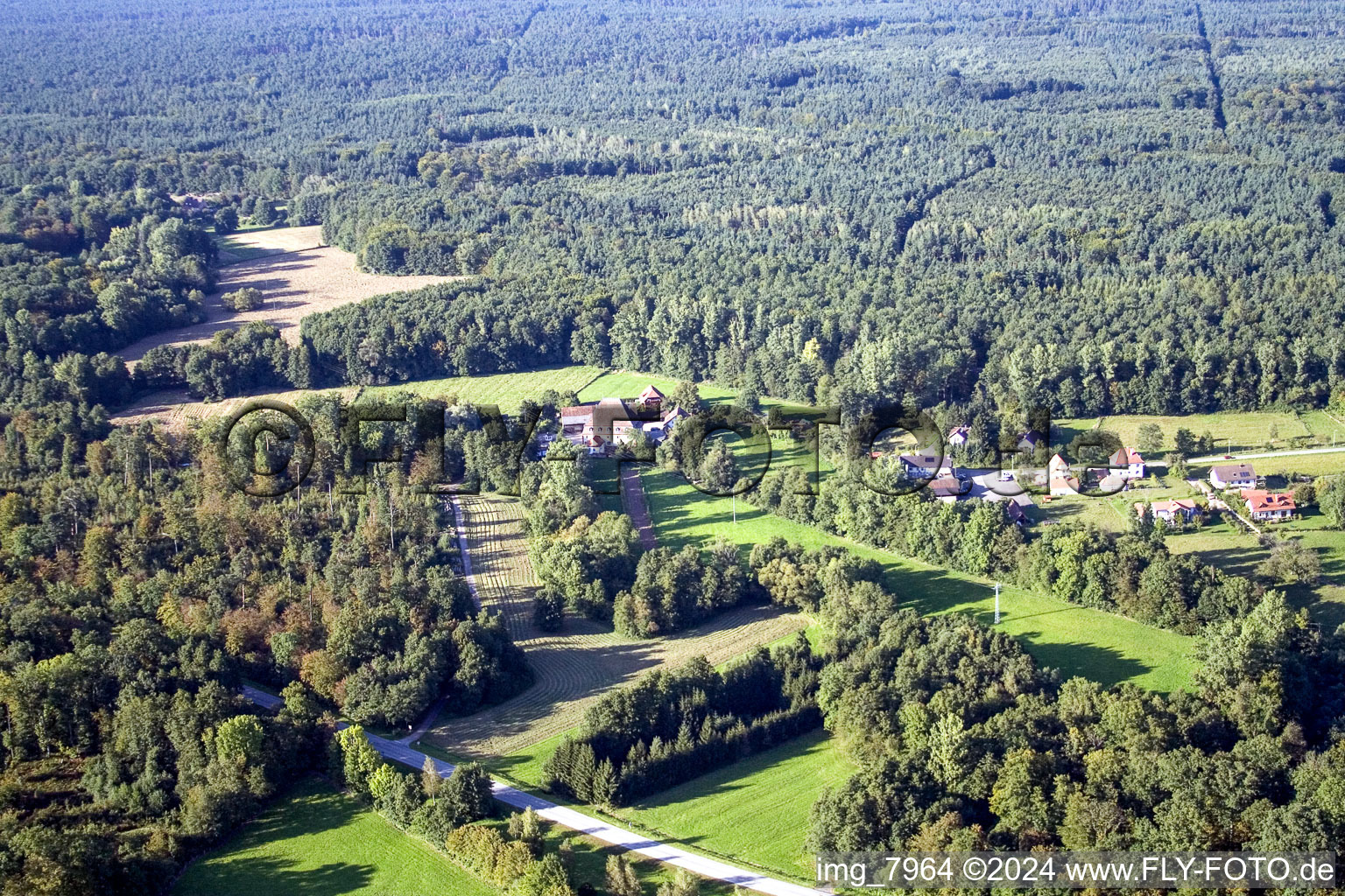 Bienwaldmühle dans le département Rhénanie-Palatinat, Allemagne vu d'un drone