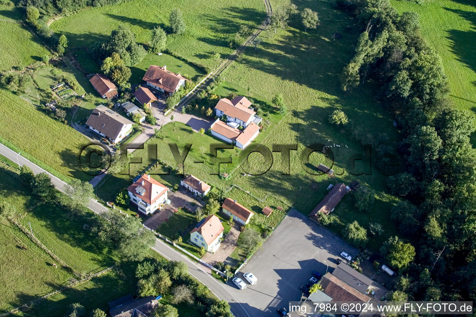 Bienwaldmühle dans le département Rhénanie-Palatinat, Allemagne vue du ciel