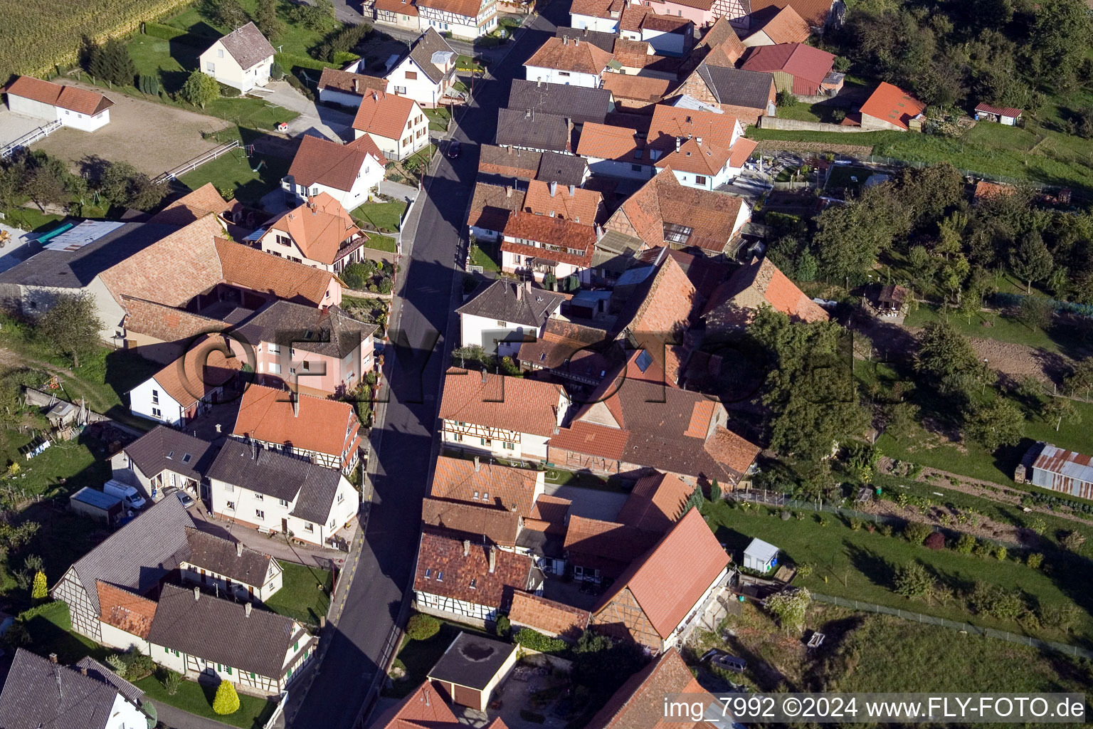 Schleithal dans le département Bas Rhin, France d'en haut