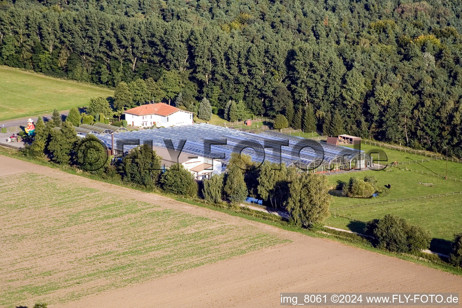 Vue d'oiseau de Terre de cactus à Steinfeld dans le département Rhénanie-Palatinat, Allemagne