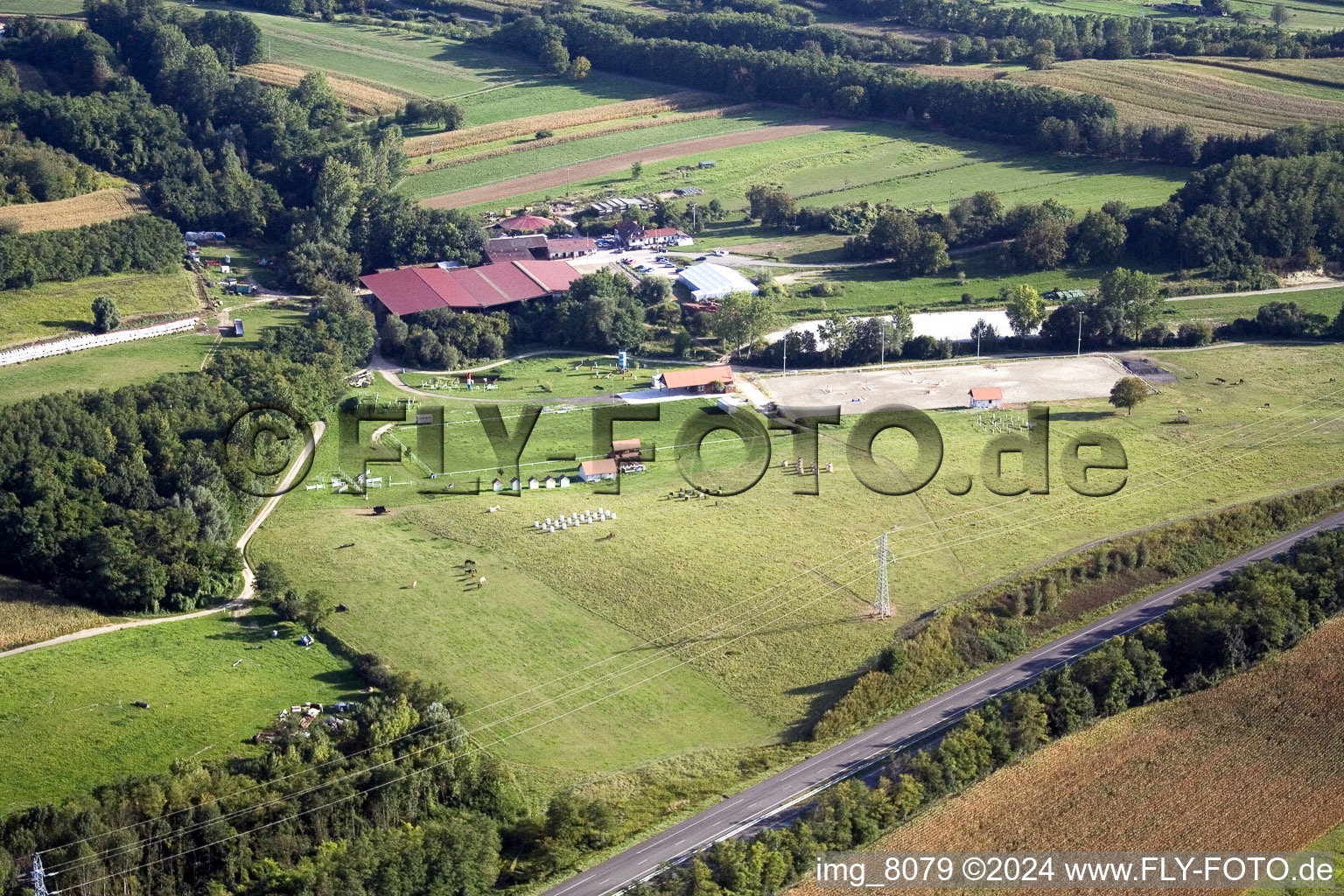 Vue aérienne de Écurie équestre à Neewiller-près-Lauterbourg dans le département Bas Rhin, France