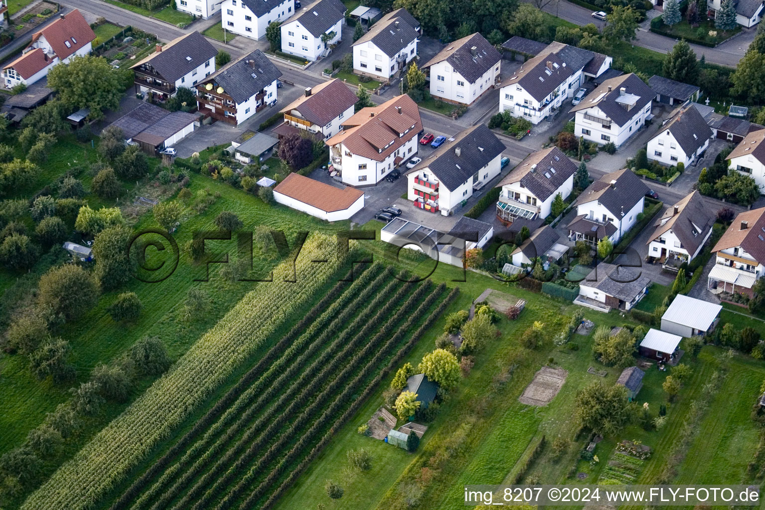 Rue Runzweg à le quartier Urloffen in Appenweier dans le département Bade-Wurtemberg, Allemagne hors des airs