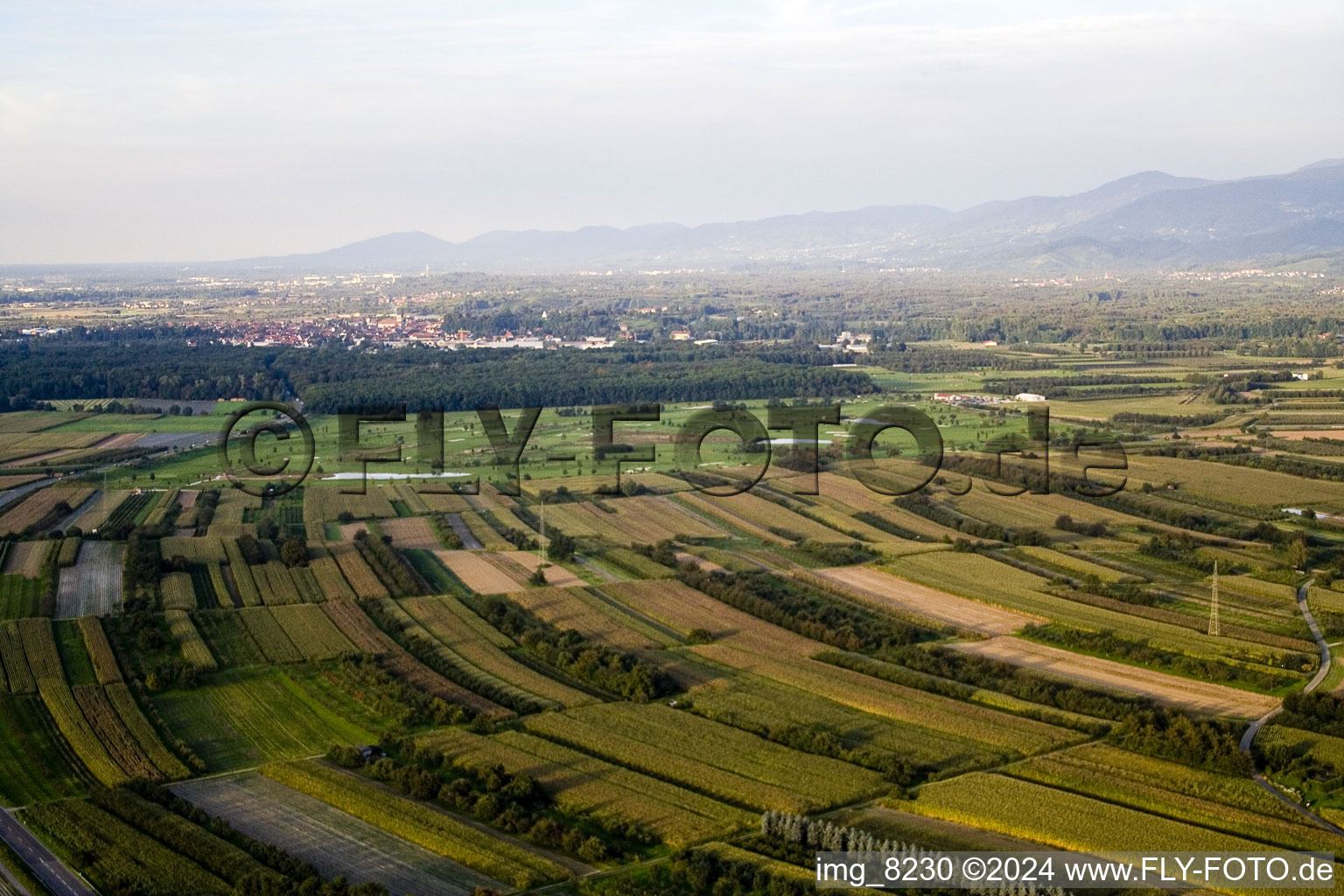 Vue aérienne de Terrain de golf du sud à le quartier Urloffen in Appenweier dans le département Bade-Wurtemberg, Allemagne