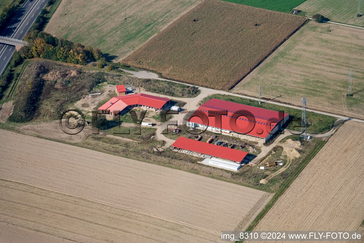 Vue d'oiseau de Ferme d'œufs de ferme de poulets à Erlenbach bei Kandel dans le département Rhénanie-Palatinat, Allemagne