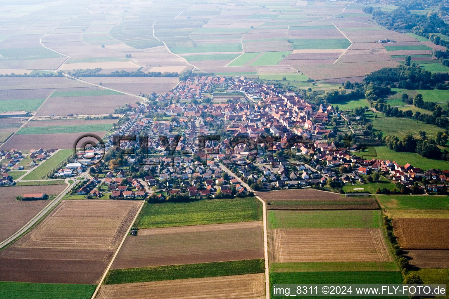 Photographie aérienne de De l'est à Steinweiler dans le département Rhénanie-Palatinat, Allemagne