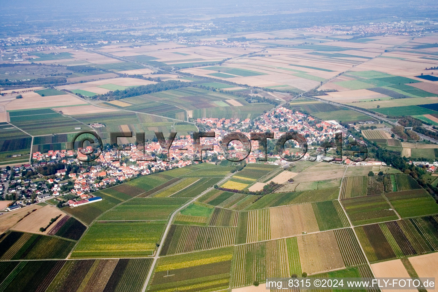 Vue aérienne de Du sud à Insheim dans le département Rhénanie-Palatinat, Allemagne