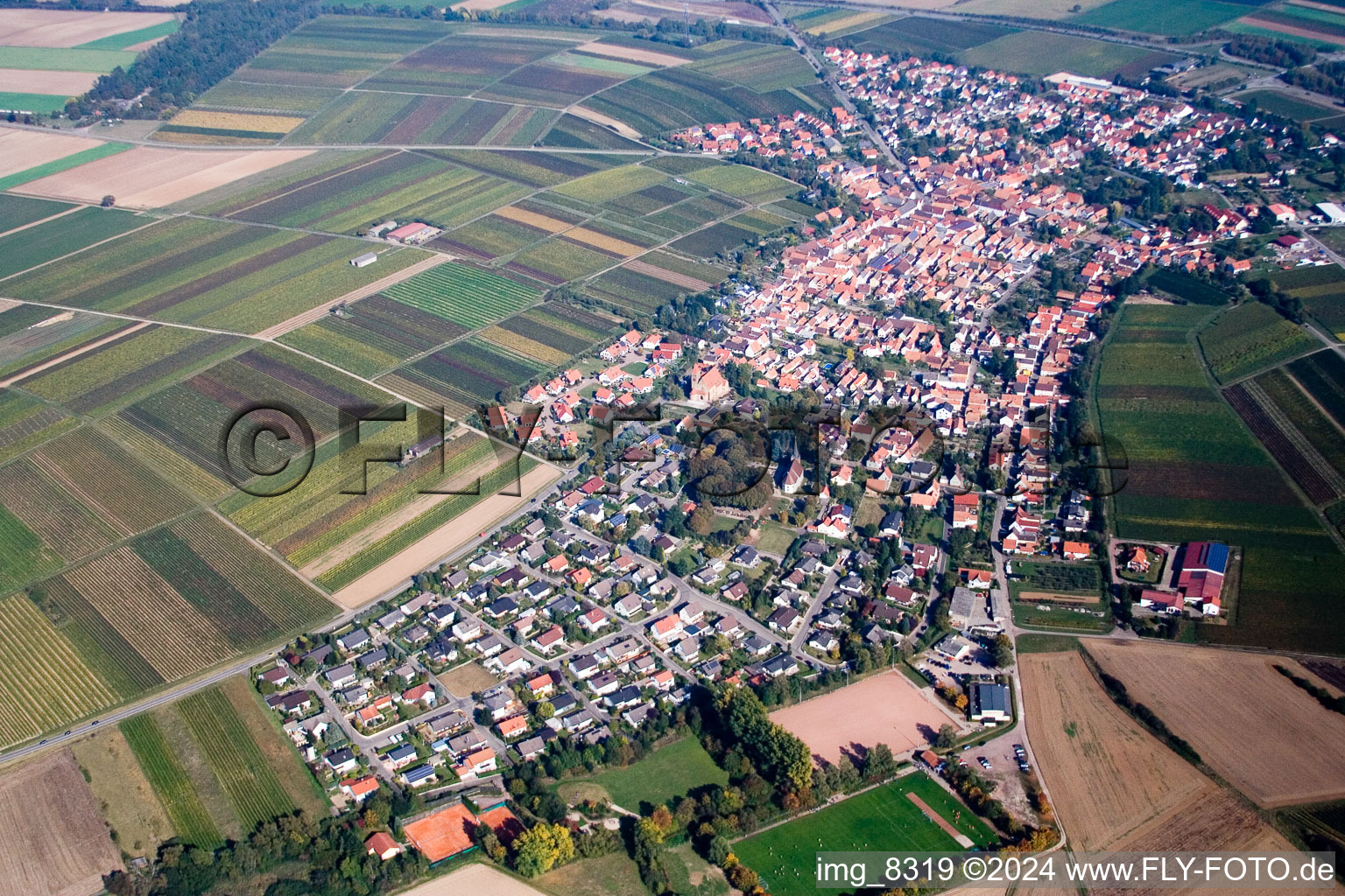 Vue aérienne de Du sud-ouest à Insheim dans le département Rhénanie-Palatinat, Allemagne