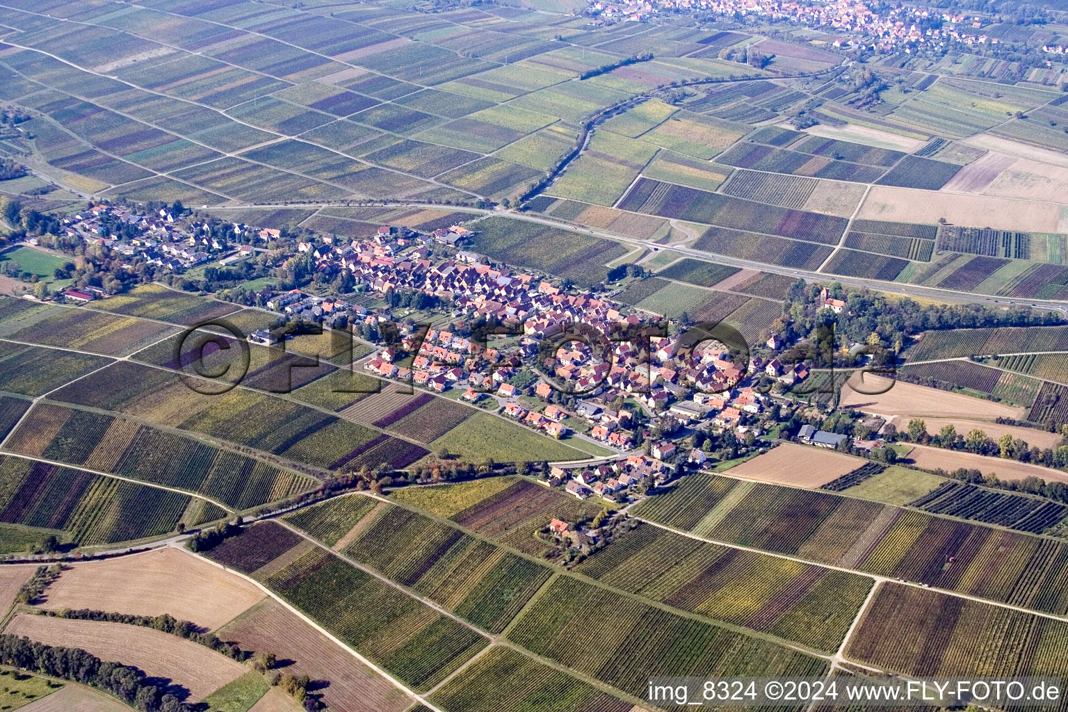 Vue aérienne de Vue sur le village à le quartier Wollmesheim in Landau in der Pfalz dans le département Rhénanie-Palatinat, Allemagne