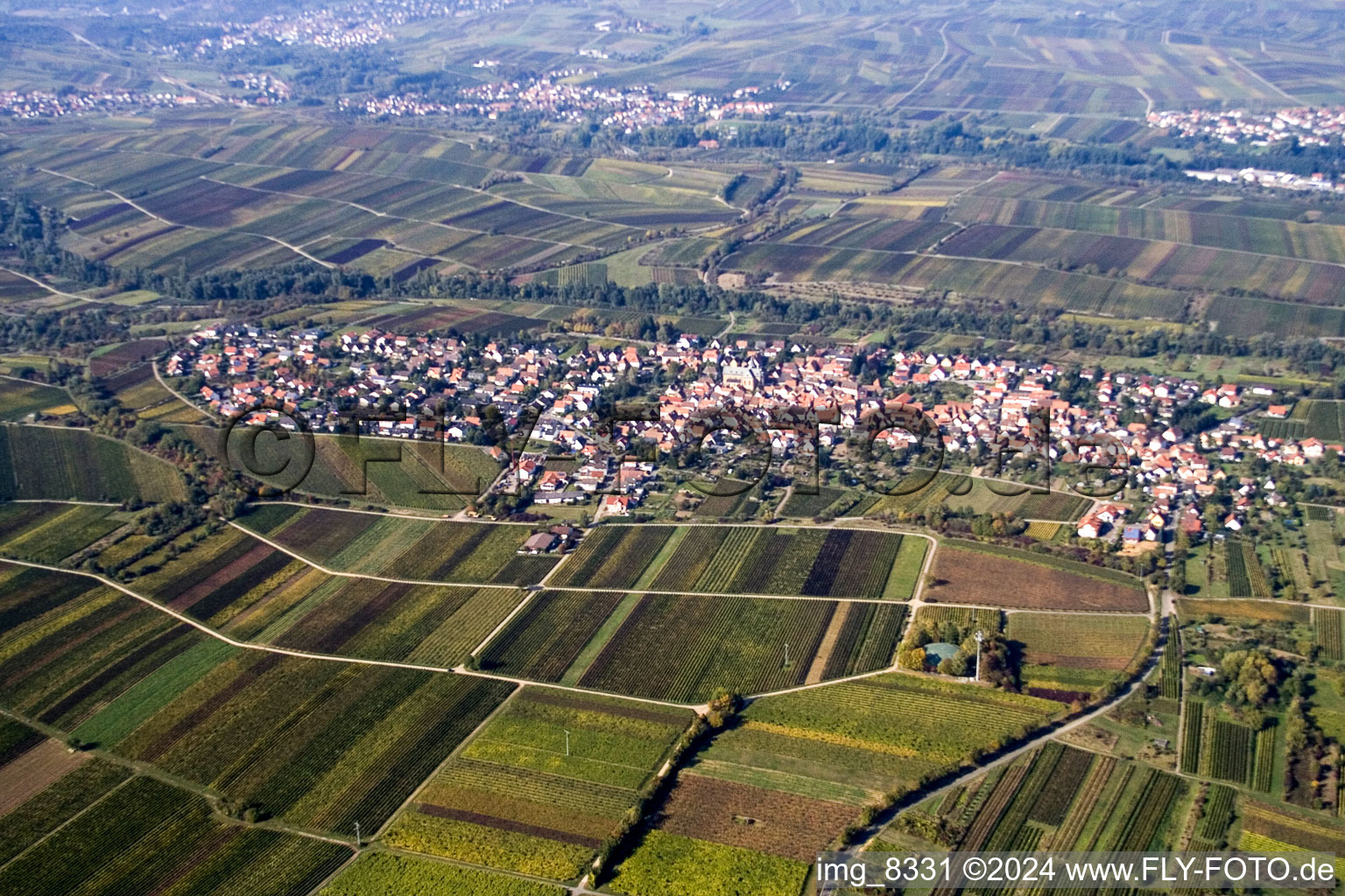 Vue des rues et des maisons des quartiers résidentiels à le quartier Arzheim in Landau in der Pfalz dans le département Rhénanie-Palatinat, Allemagne d'en haut