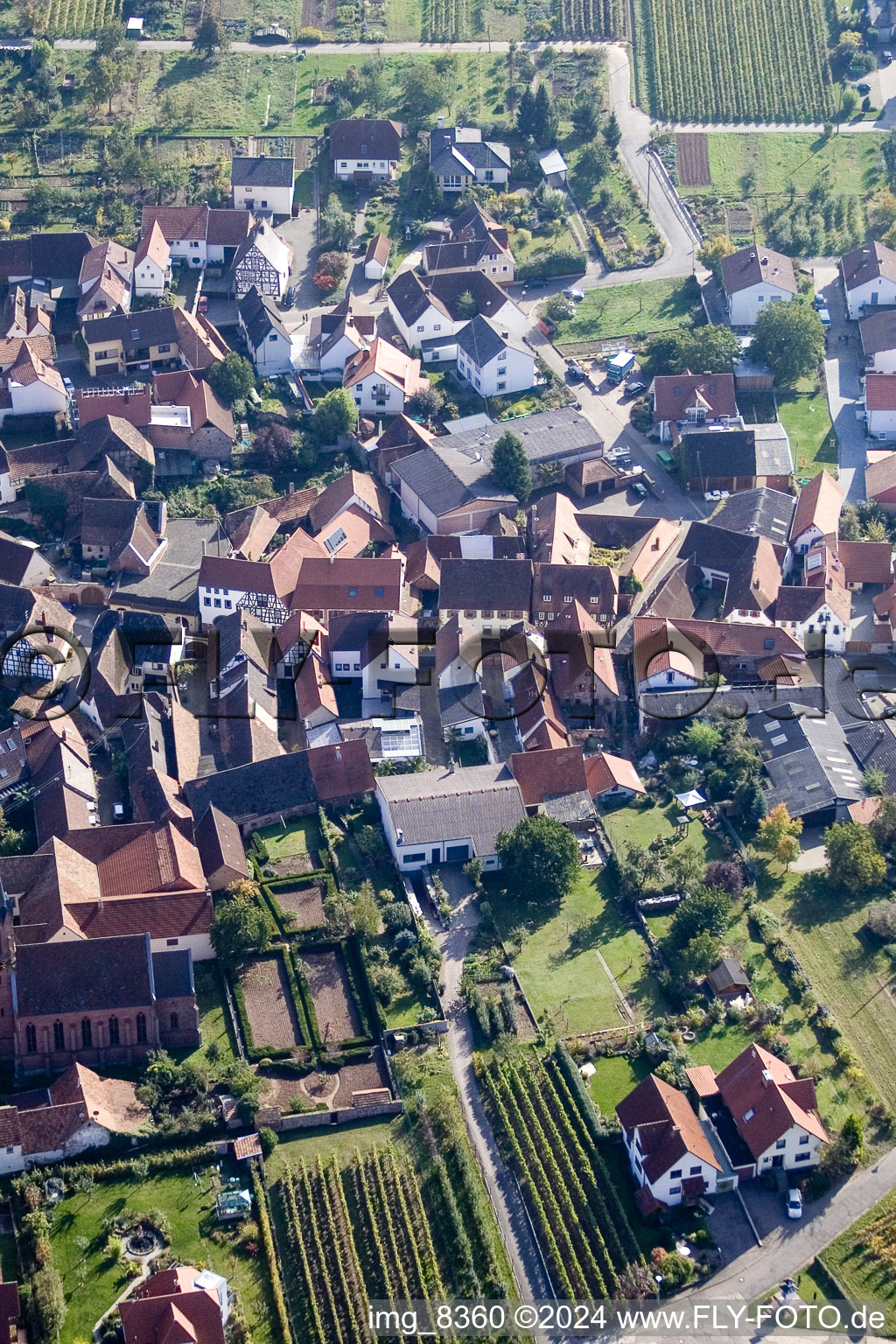 Birkweiler dans le département Rhénanie-Palatinat, Allemagne depuis l'avion