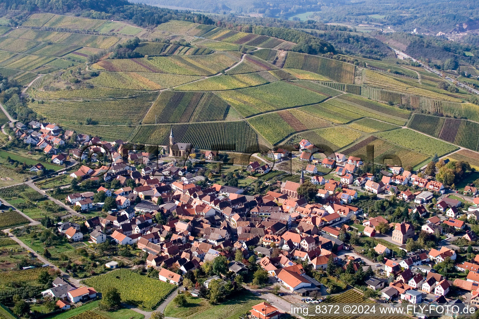 Vue aérienne de Vignobles à Birkweiler dans le département Rhénanie-Palatinat, Allemagne