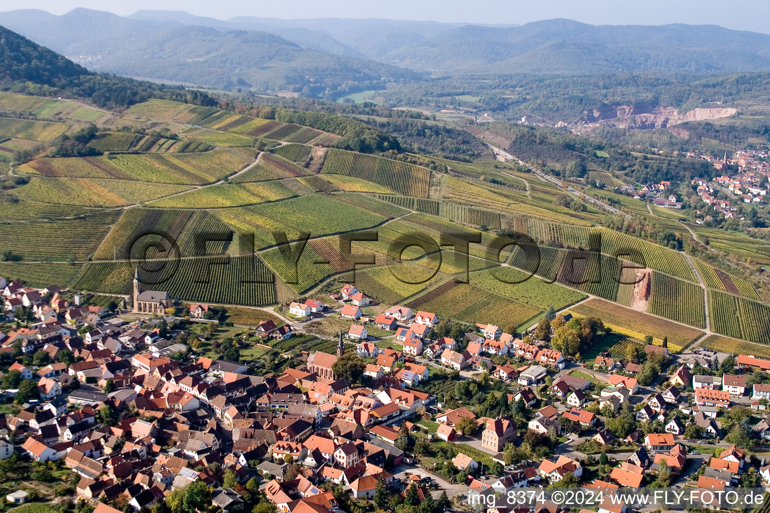 Vue d'oiseau de Châtaignier à Birkweiler dans le département Rhénanie-Palatinat, Allemagne