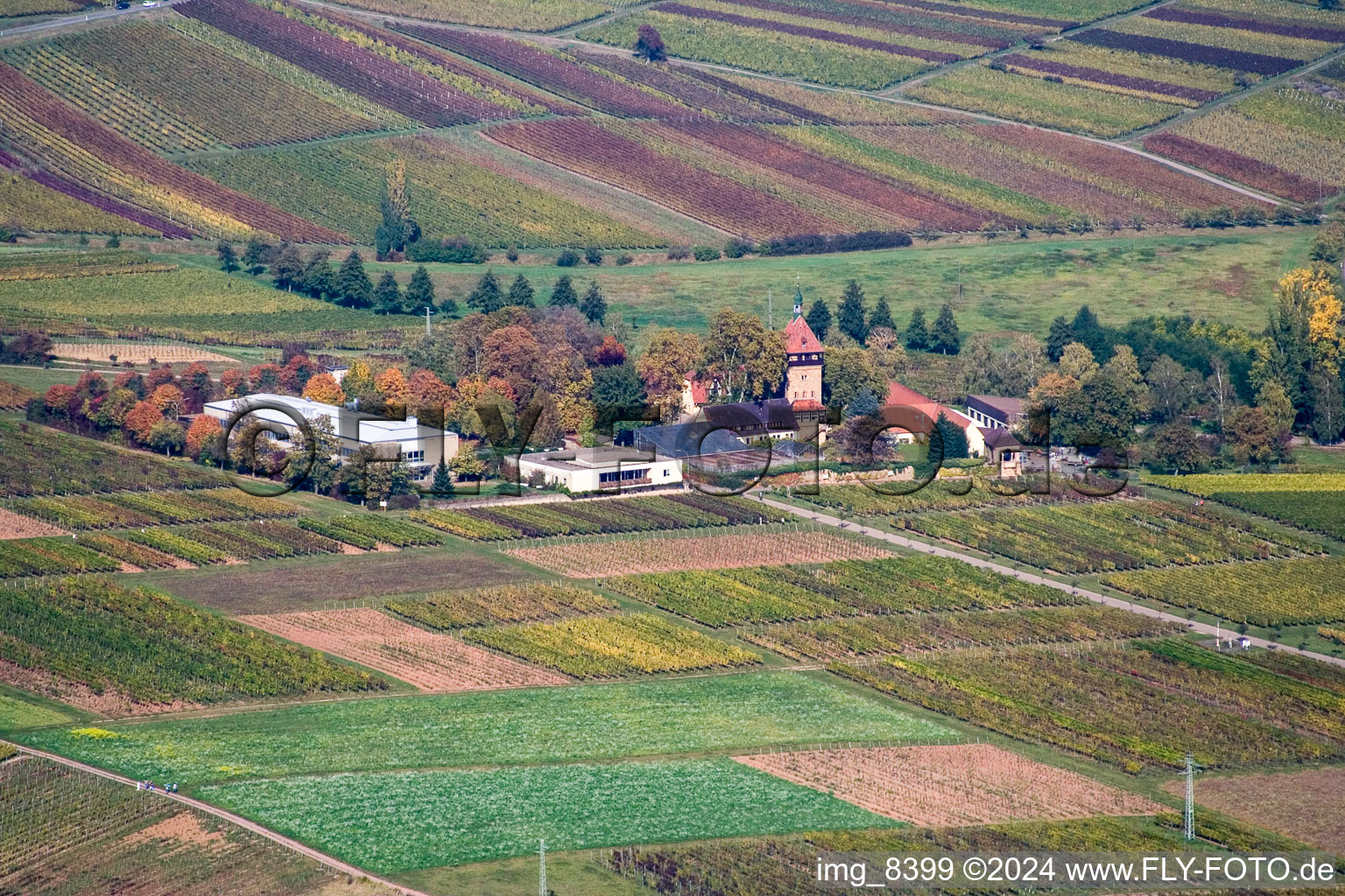 BFA-Geilweilerhof (Institut de recherche sur la vigne) à Siebeldingen dans le département Rhénanie-Palatinat, Allemagne d'en haut