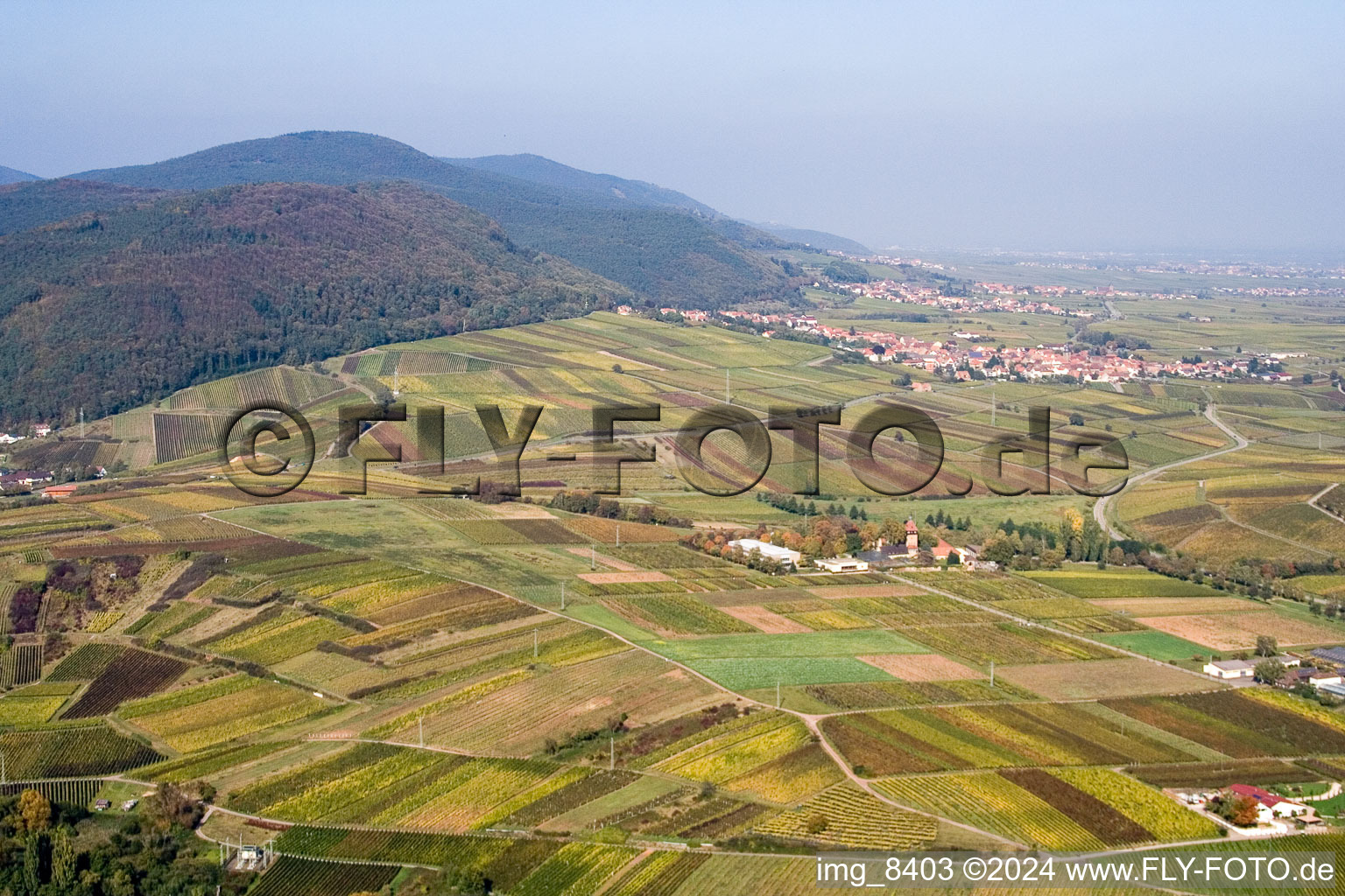 Vue aérienne de Du sud à Frankweiler dans le département Rhénanie-Palatinat, Allemagne