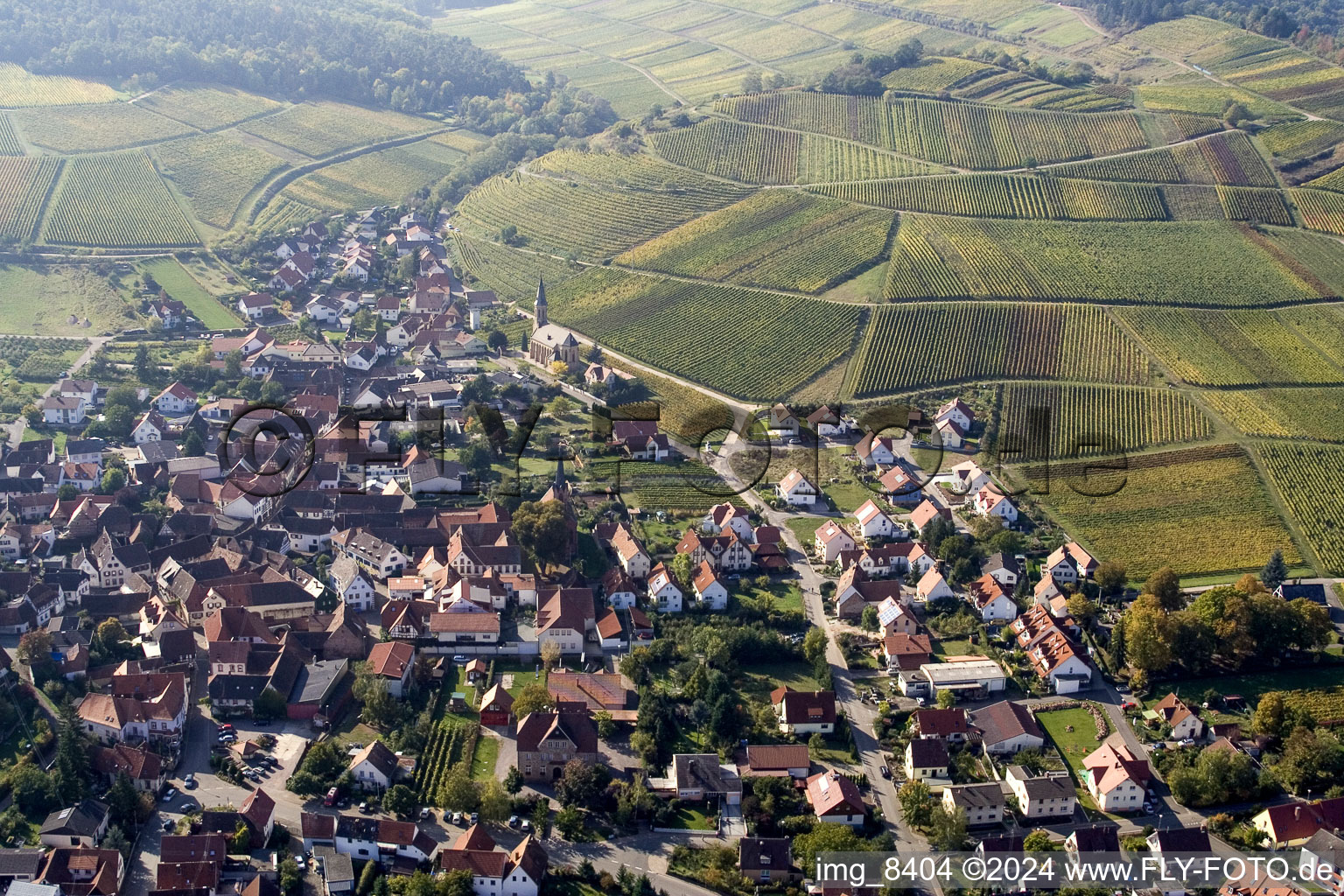 Birkweiler dans le département Rhénanie-Palatinat, Allemagne vue d'en haut