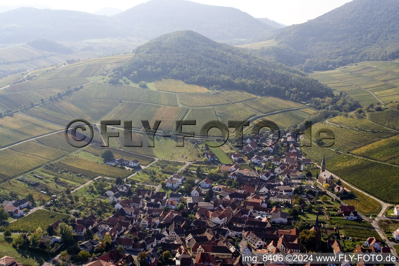 Châtaignier à Birkweiler dans le département Rhénanie-Palatinat, Allemagne vue du ciel