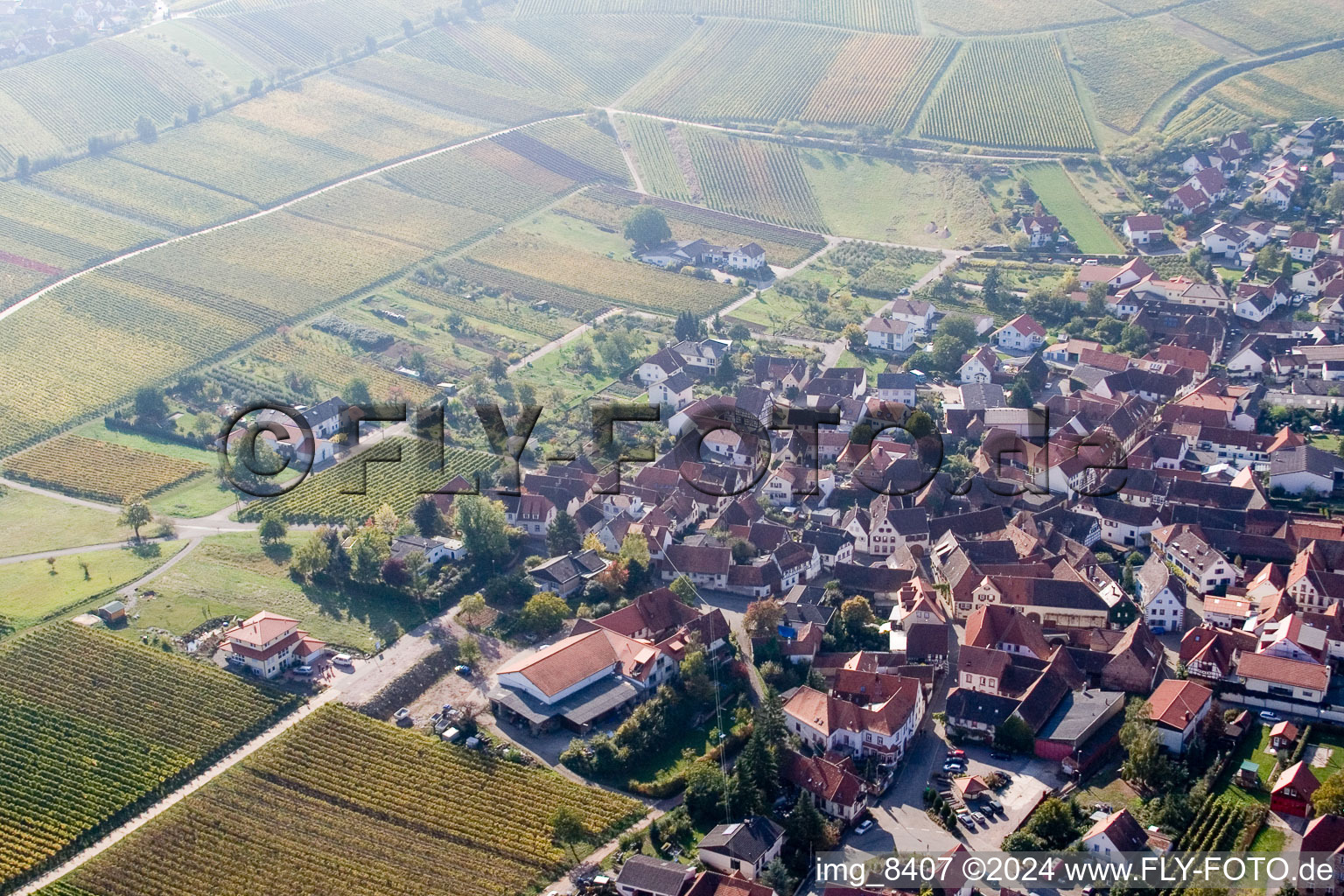 Birkweiler dans le département Rhénanie-Palatinat, Allemagne depuis l'avion