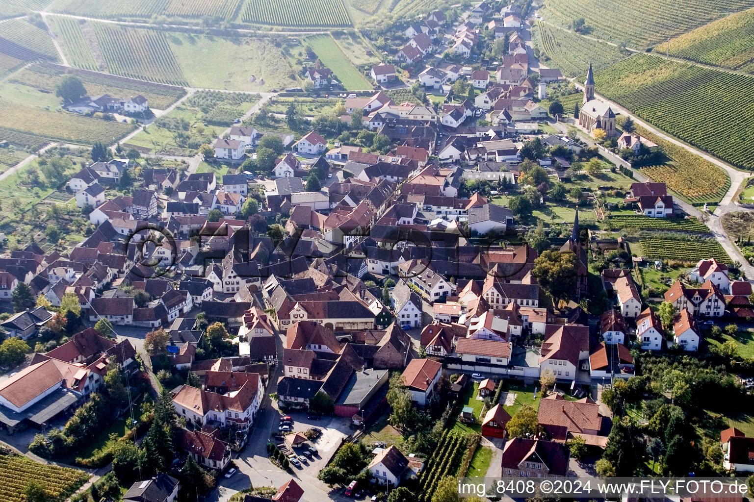 Vue d'oiseau de Birkweiler dans le département Rhénanie-Palatinat, Allemagne